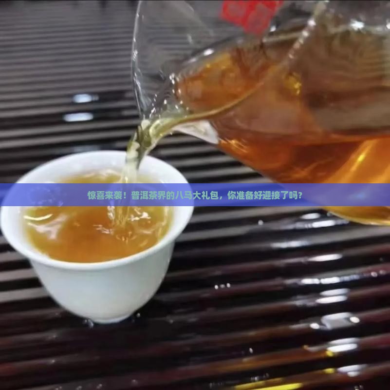 八马普洱茶礼包