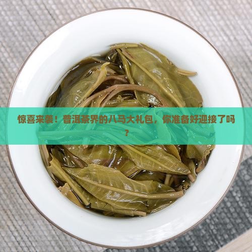 八马普洱茶礼包