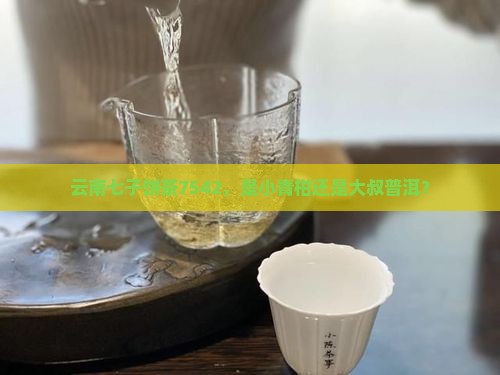 云南七子7542是生普还是熟普