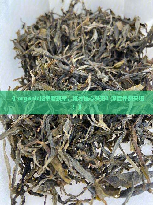 有机班章老班章评测