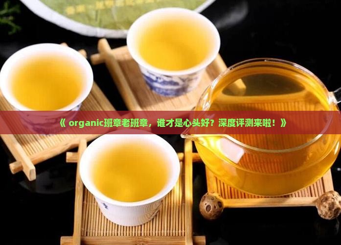 有机班章老班章评测