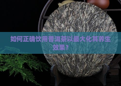 普洱茶要怎么喝