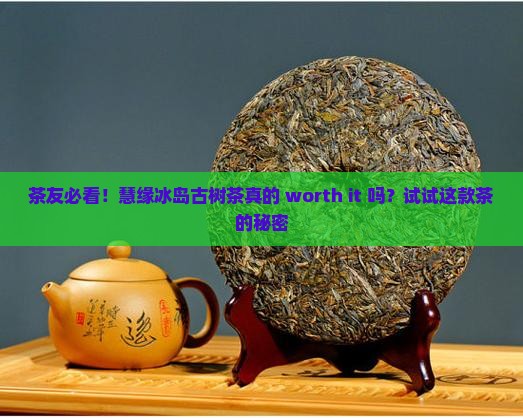 慧缘冰岛古树茶 慧缘冰岛古树茶