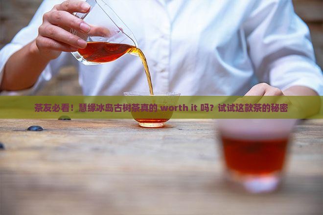 慧缘冰岛古树茶 慧缘冰岛古树茶