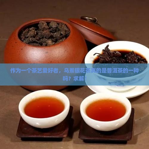 乌岽银花香属于普洱茶吗