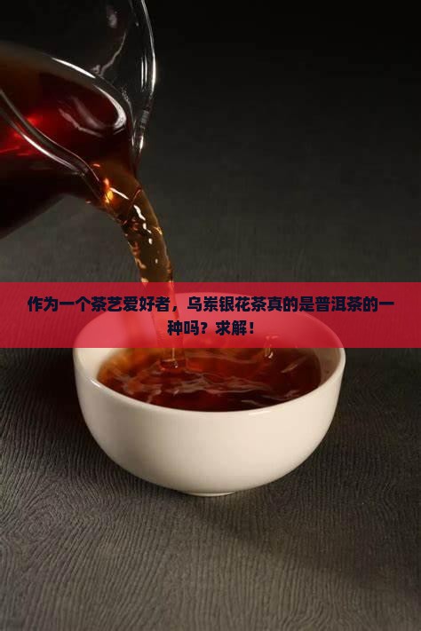 乌岽银花香属于普洱茶吗