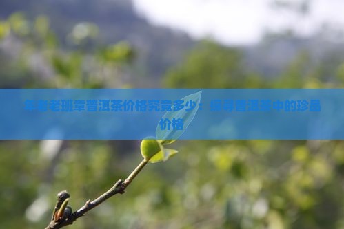 30年老班章普洱茶价格是多少