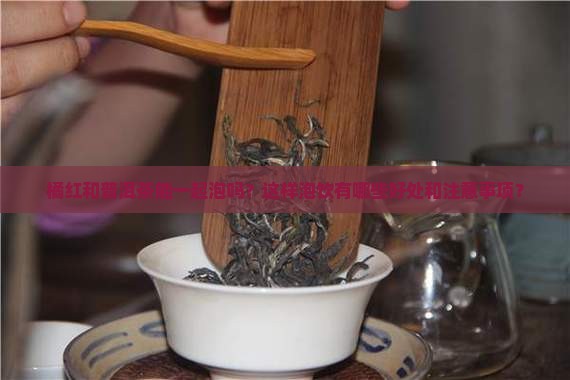 橘红和普洱茶能一起泡吗