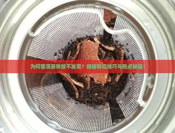 普洱茶怎么不发霉