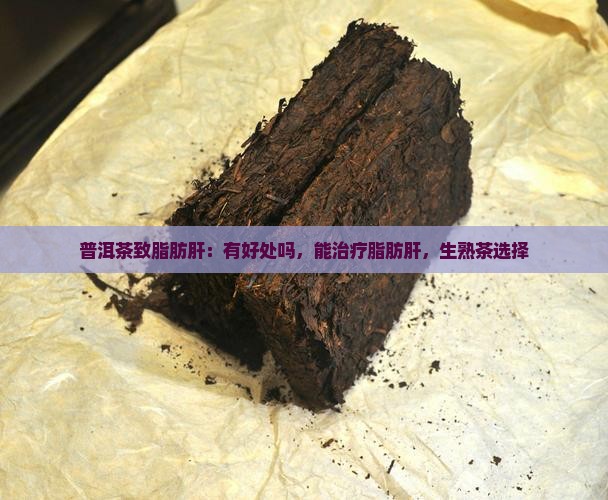 普洱茶致脂肪肝
