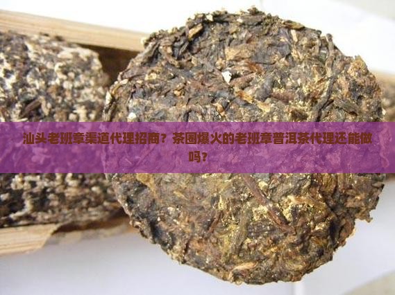 汕头老班章渠道代理招商