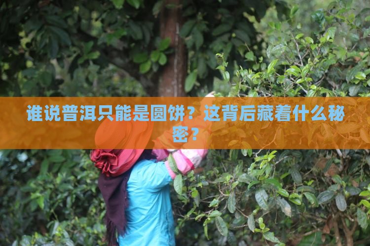 普洱茶压成圆饼
