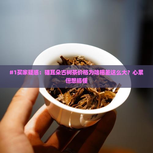 猫耳朵古树茶价格