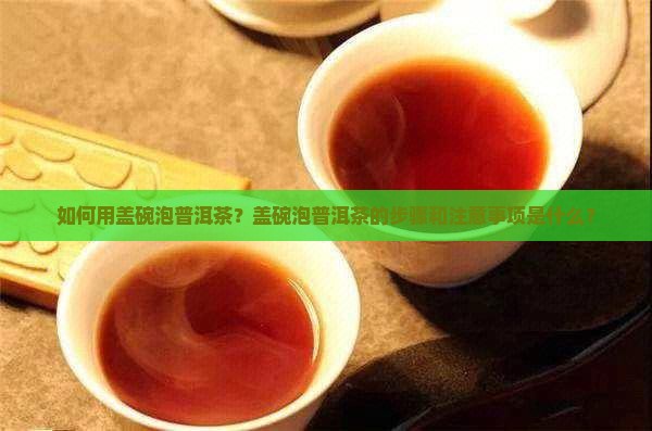 如何用盖碗泡普洱茶