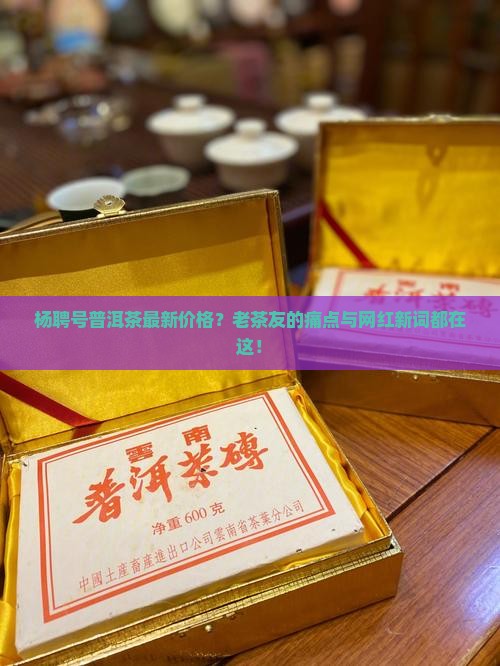 杨聘号普洱茶最新价格