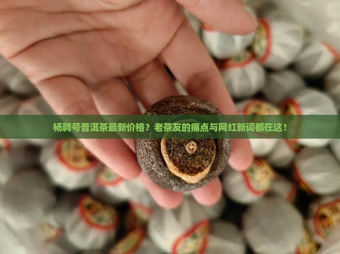杨聘号普洱茶最新价格