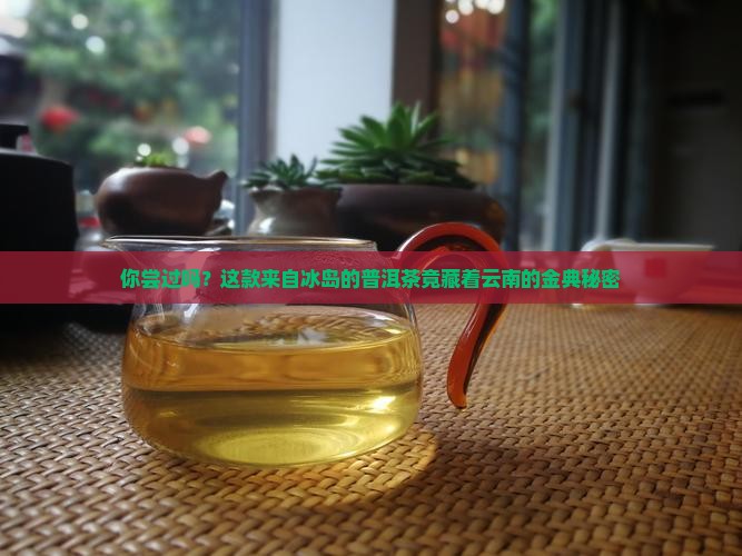 云南金典门冰岛普耳茶