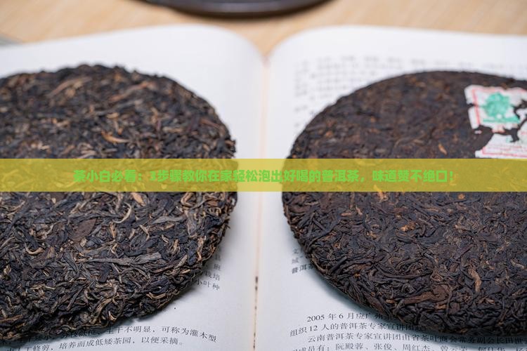 如何品饮普洱茶最好喝一点