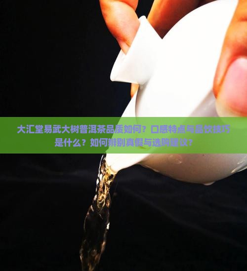 大汇堂易武大树普洱茶