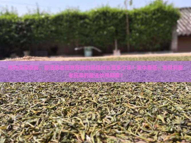 普洱茶老班章保存期限多久