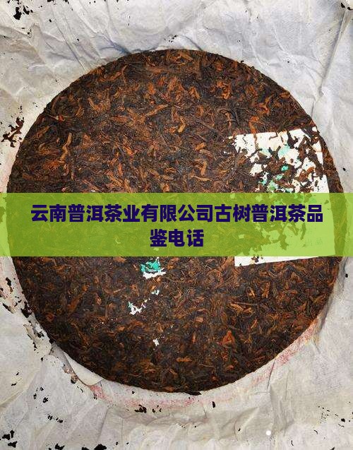 云南古树普洱茶电话