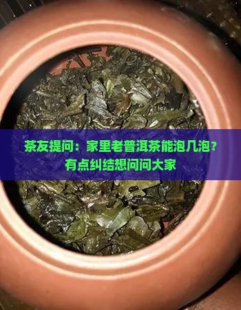 古树普洱可以泡几泡