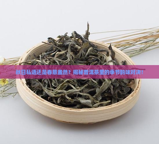 普洱茶二春和秋茶哪个好