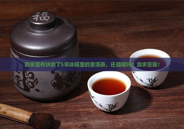 冰箱放了5年的普洱茶