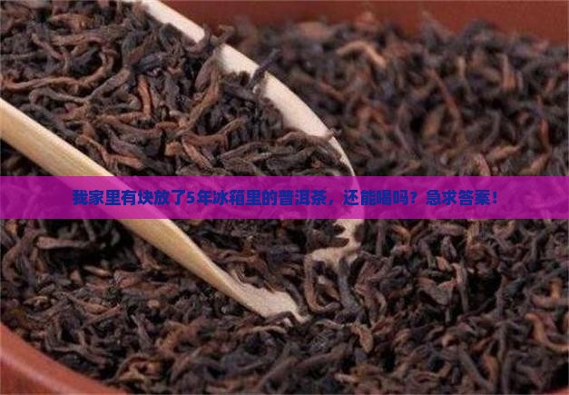 冰箱放了5年的普洱茶