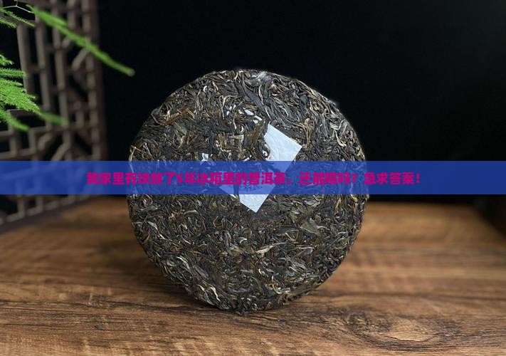 冰箱放了5年的普洱茶