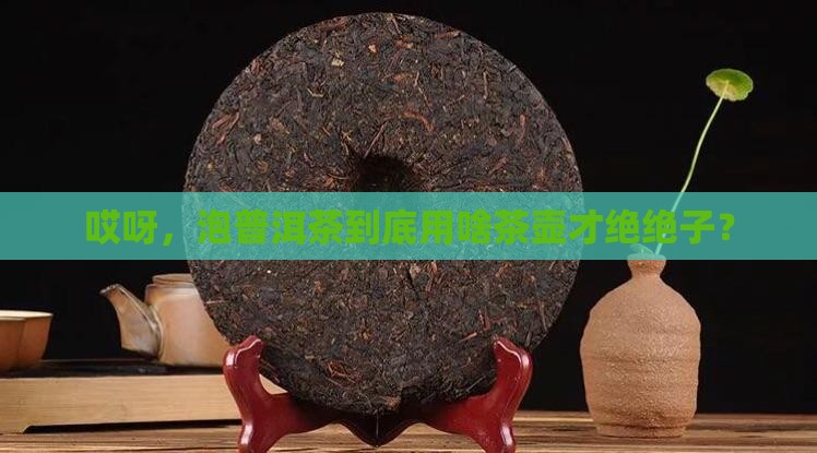 泡普洱茶的什么茶壶泡好
