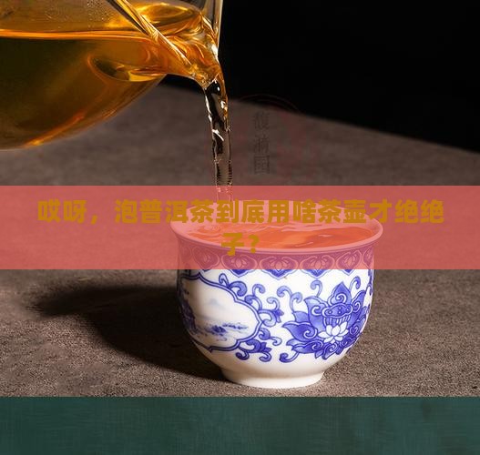 泡普洱茶的什么茶壶泡好