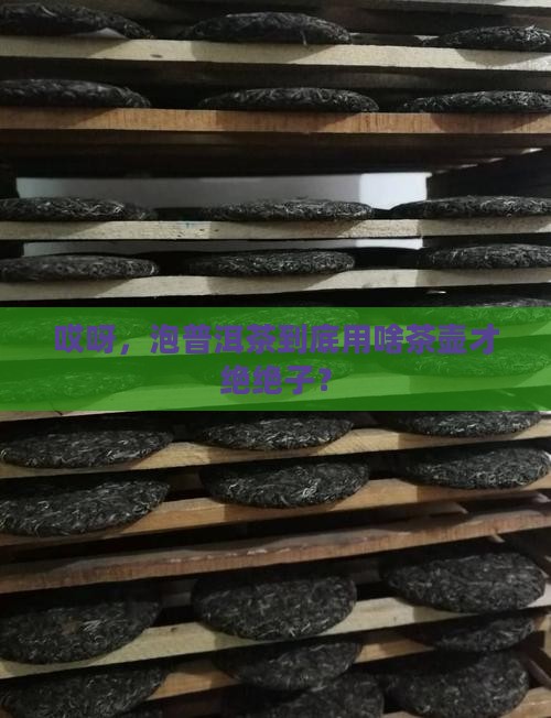 泡普洱茶的什么茶壶泡好