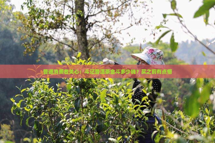 斗记普洱茶金斗的价格