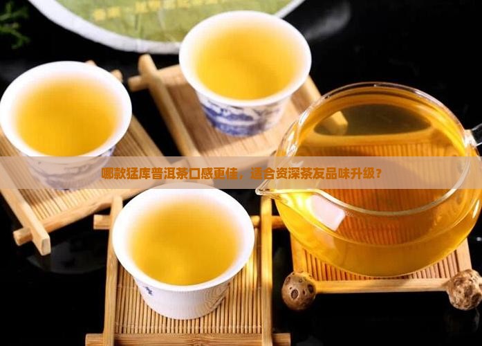 猛库普洱茶哪款好