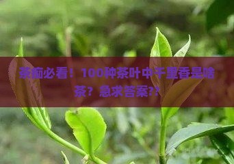 千里香属于什么茶