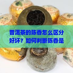 普洱茶陈香怎么分好坏