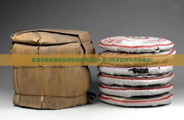 普洱茶新茶的品种特点有