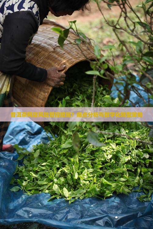 普洱茶网店风险管控措施