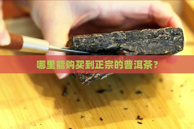 普洱茶在哪里买的正宗吗
