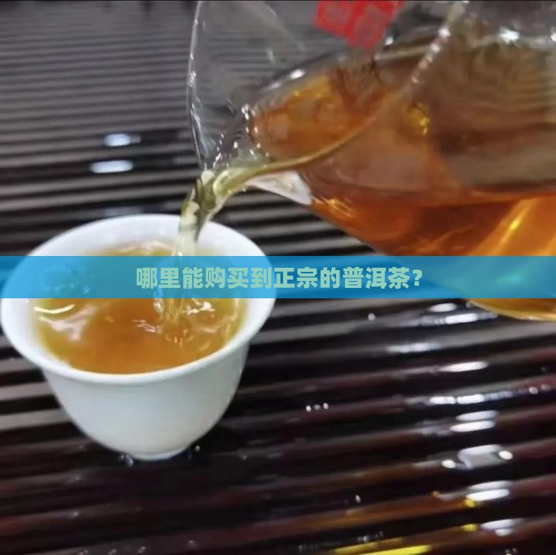 普洱茶在哪里买的正宗吗
