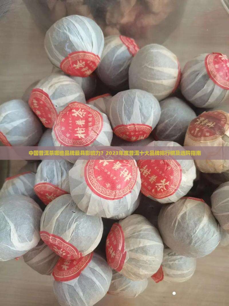 中国普洱十大品牌