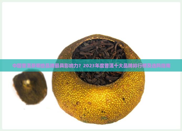 中国普洱十大品牌