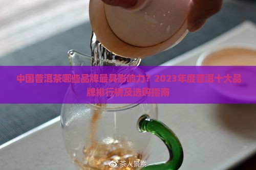 中国普洱十大品牌