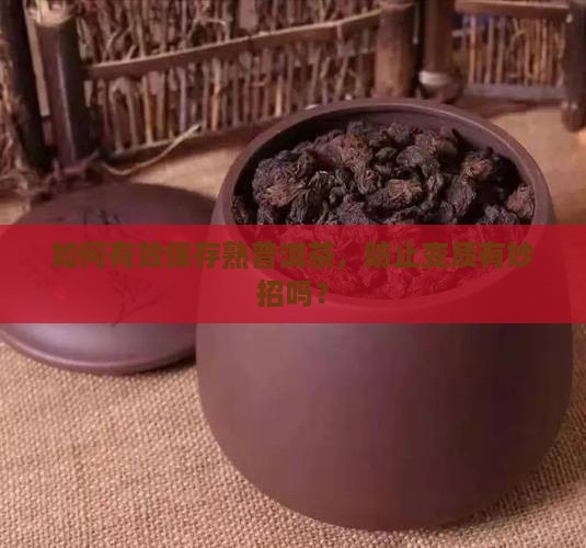 熟普洱茶如何保存不变质
