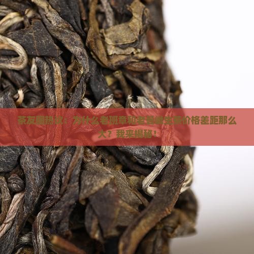 老班章老曼峨生茶价格