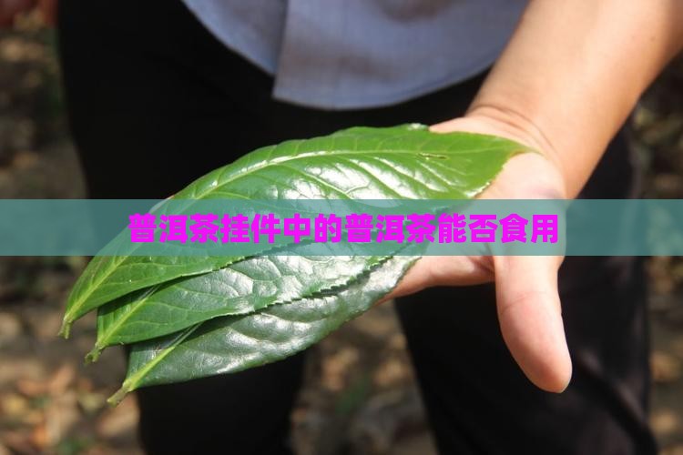 普洱茶挂饰能吃吗