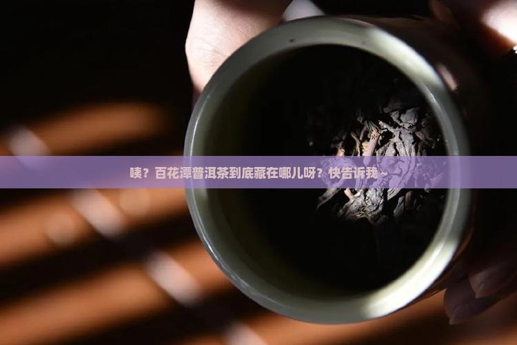百花潭普洱茶位于哪里