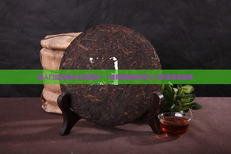 新入门应该喝什么普洱茶 新入门应该喝什么普洱茶