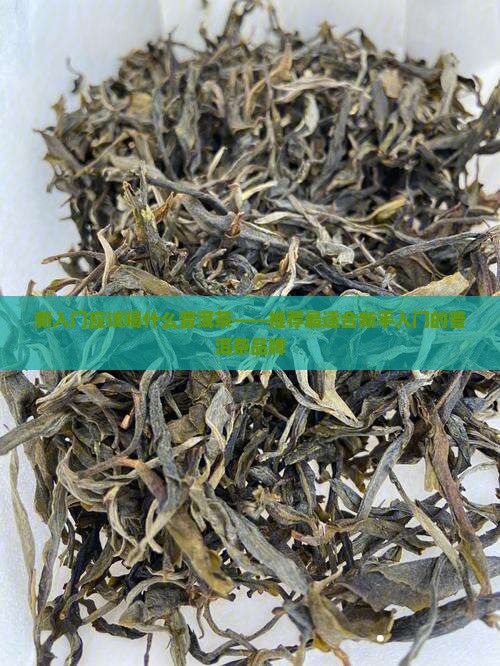 新入门应该喝什么普洱茶 新入门应该喝什么普洱茶